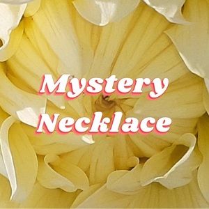 Mystery Necklace ~ A Jewelry Surprise shipped to your doorstep!